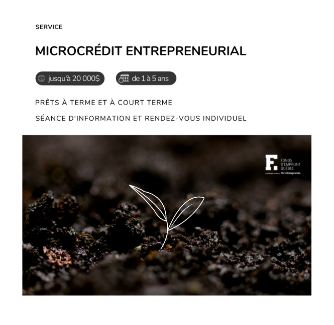 Microcrédit entrepreneurial Microcrédit entrepreneurial : résumé de nos produits