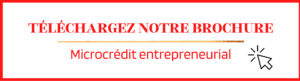 Bouton hyperlien brochure microcrédit entrepreneurial